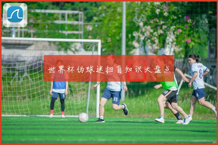 世界杯伪球迷扫盲知识大盘点