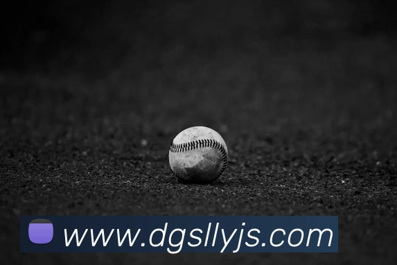 在线买世界杯平台服务体系